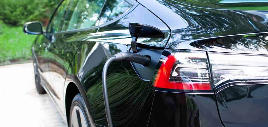 Annapolis Counts on Weisman